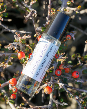 Amber White Roll-On - Kisses of Coconut