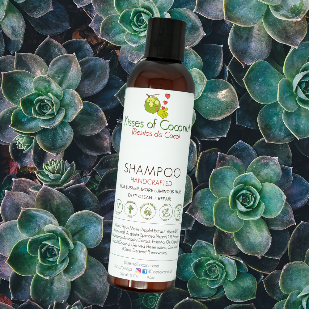 Build Your Own Shampoo - Kisses of Coconut