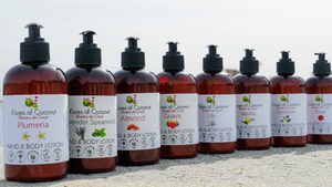 Coconut Hand & Body Lotion - Kisses of Coconut