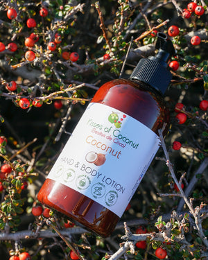 Coconut Hand & Body Lotion - Kisses of Coconut