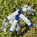 Coconut lip balm behind a bush of leaves - Kisses of Coconut