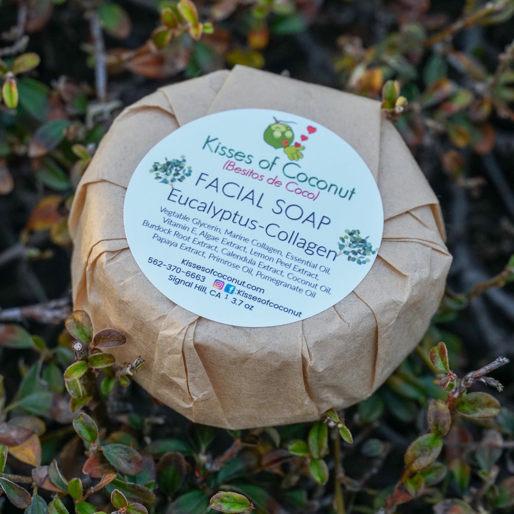 Eucalyptus Collagen Facial Soap - Kisses of Coconut