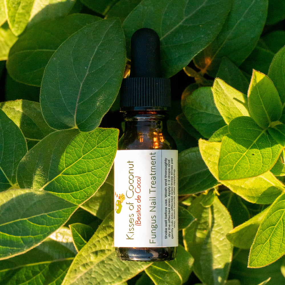 Fungus Nail Treatment - Kisses of Coconut