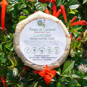 Lavender Soap - Kisses of Coconut