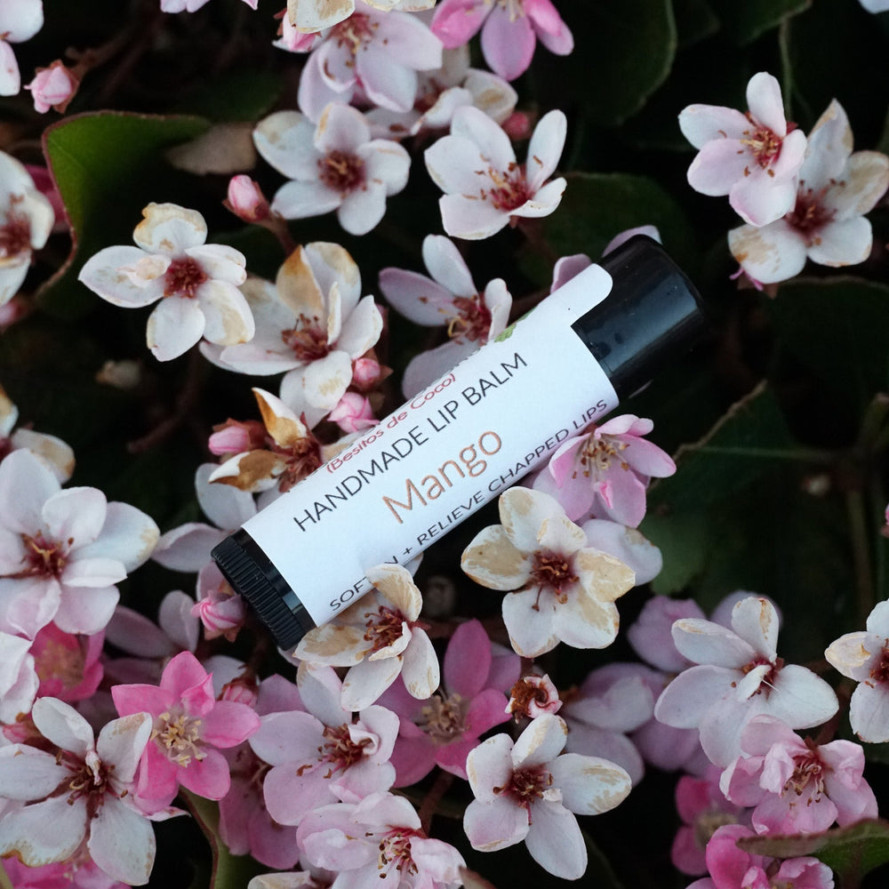 Mango Lip-Balm - Kisses of Coconut