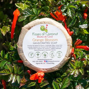 Orange Blossom Soap - Kisses of Coconut