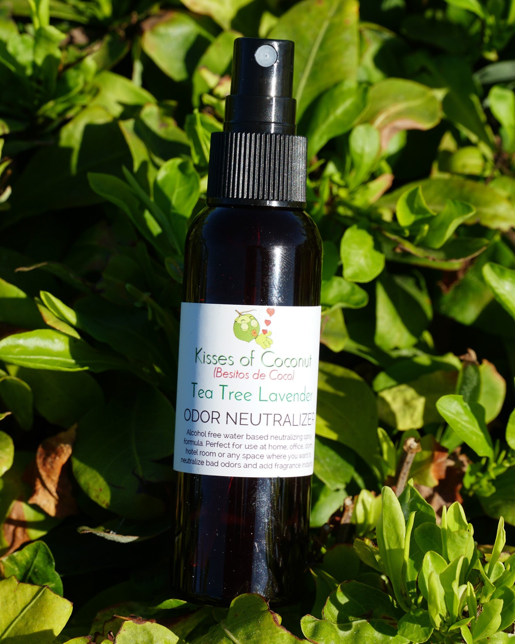 coconut oil lavender tea tree oil Tea Tree Lavender Room + Linen Spray